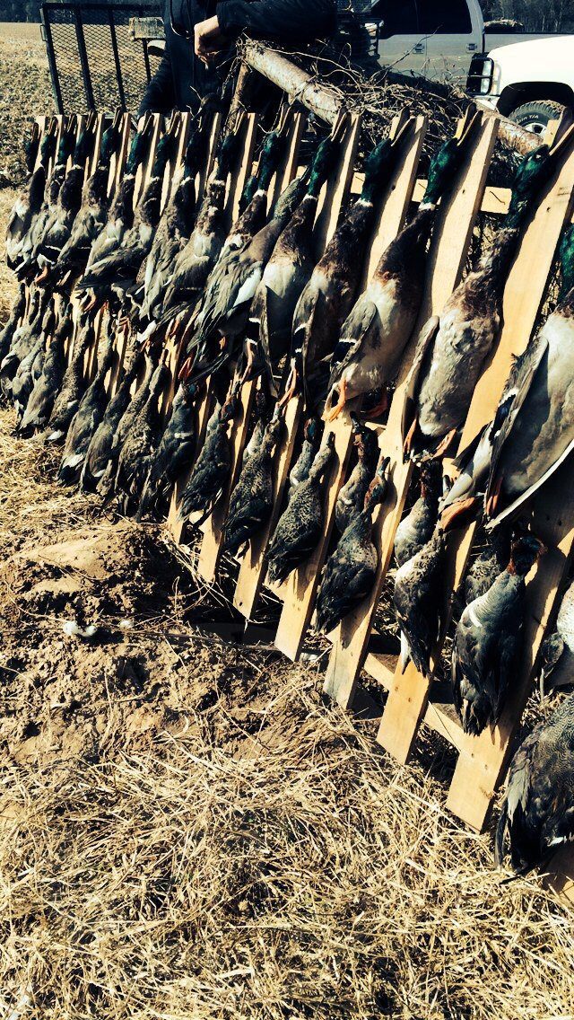Arkansas Duck Hunting Season 2016