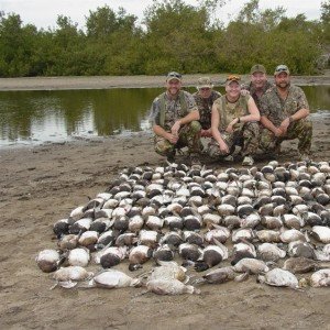 Mazatlan Mexico Duck Hunting - Ramsey Russell's GetDucks.com