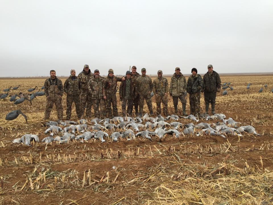 texas goose hunting crooked wing outfitters 446095795384_n - Ramsey ...