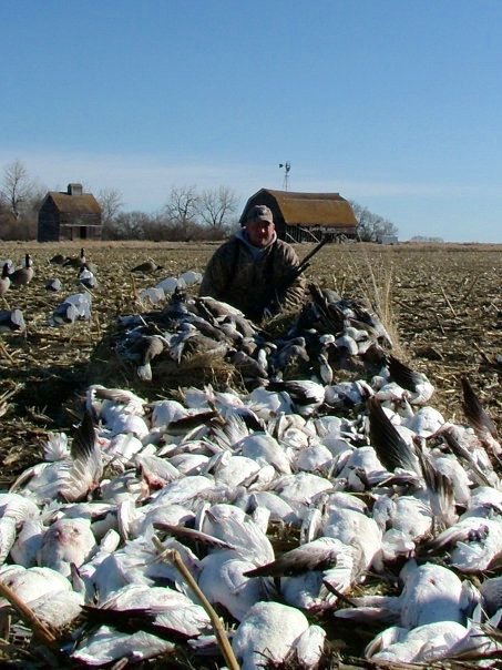 north dakota spring snow goose hunting 34567 - Ramsey Russell's ...