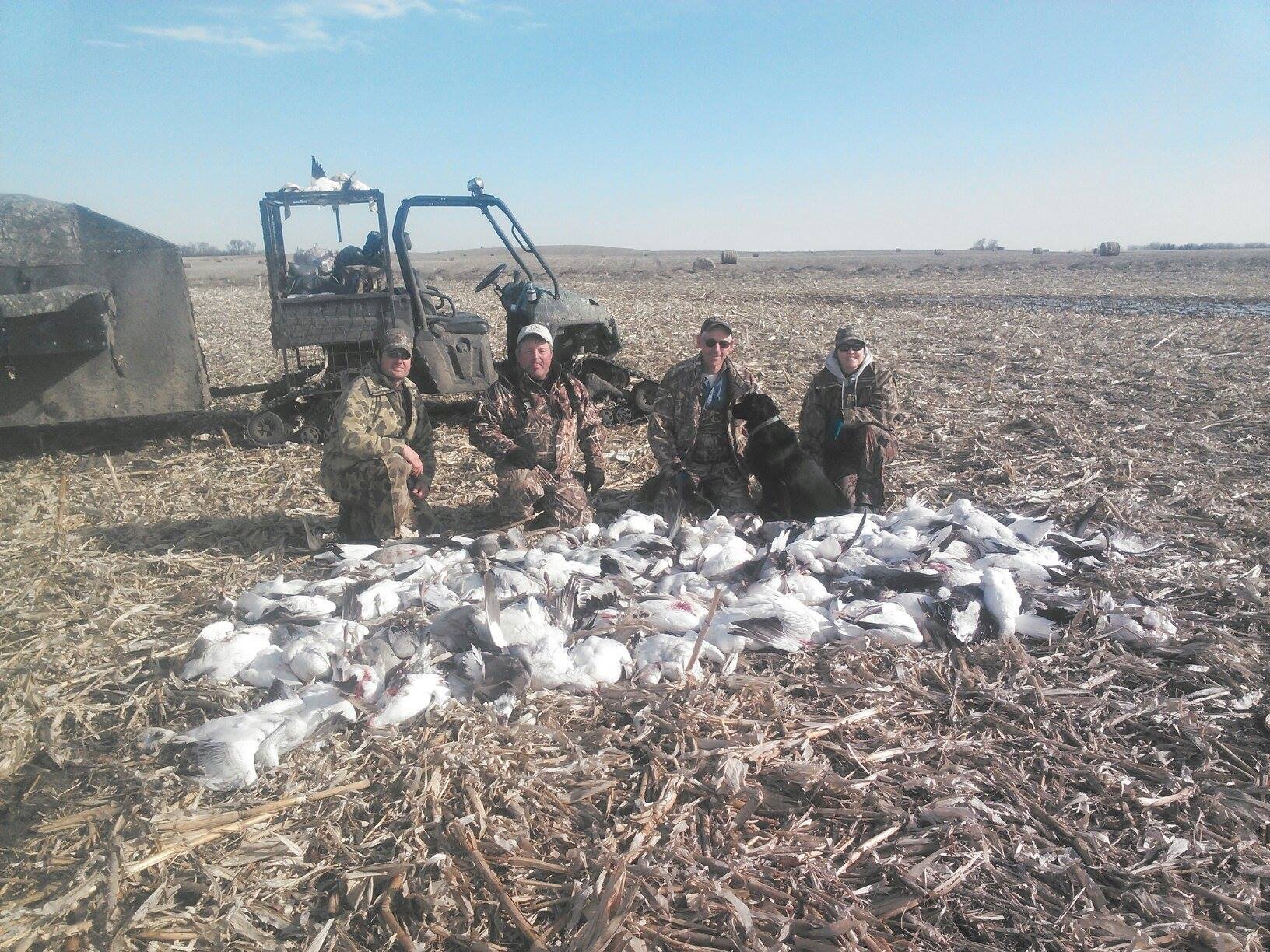 north dakota spring snow goose hunting_4116 Ramsey Russell's