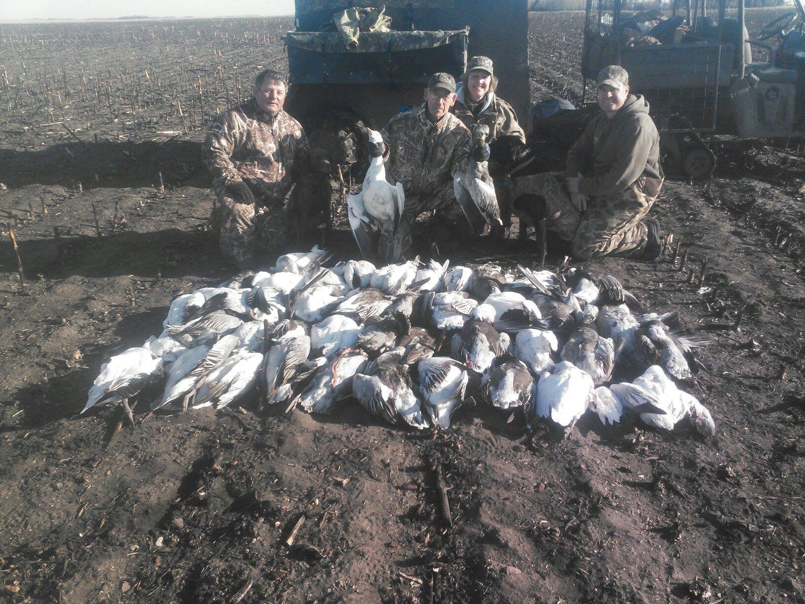 North Dakota Snow Goose Hunting Ramsey Russell's