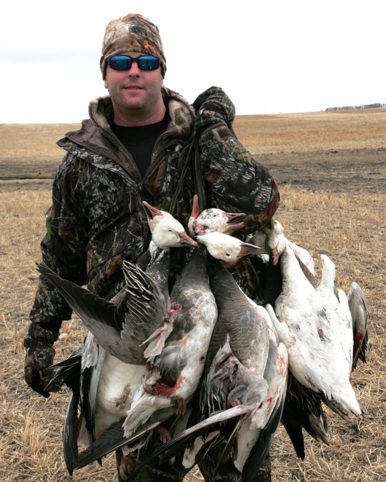 manitoba spring snow goose hunting_440 copy Ramsey Russell's