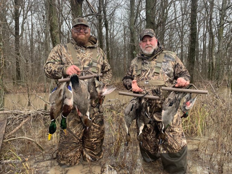 Missouri Duck Hunting Guided Hunts Pure Hen Southern Duck Lodge