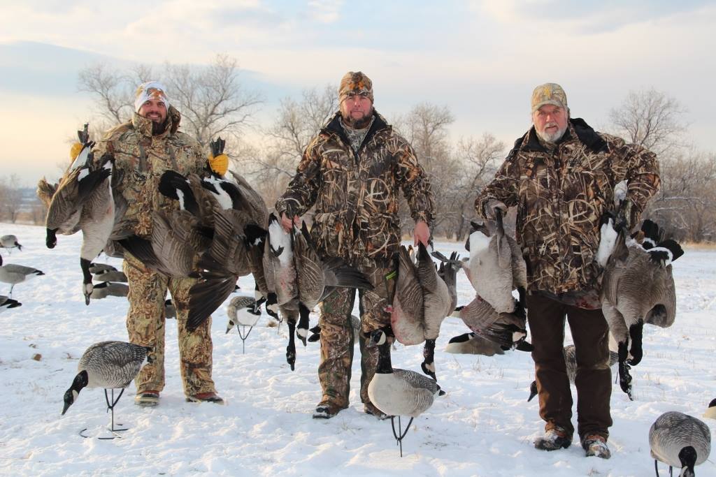 Best Goose Hunting Time Call Of The Wild at Cornelius James blog