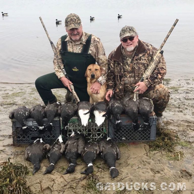 Mexico Pacific Black Brant Hunting | Brant Hunt Baja Mexico