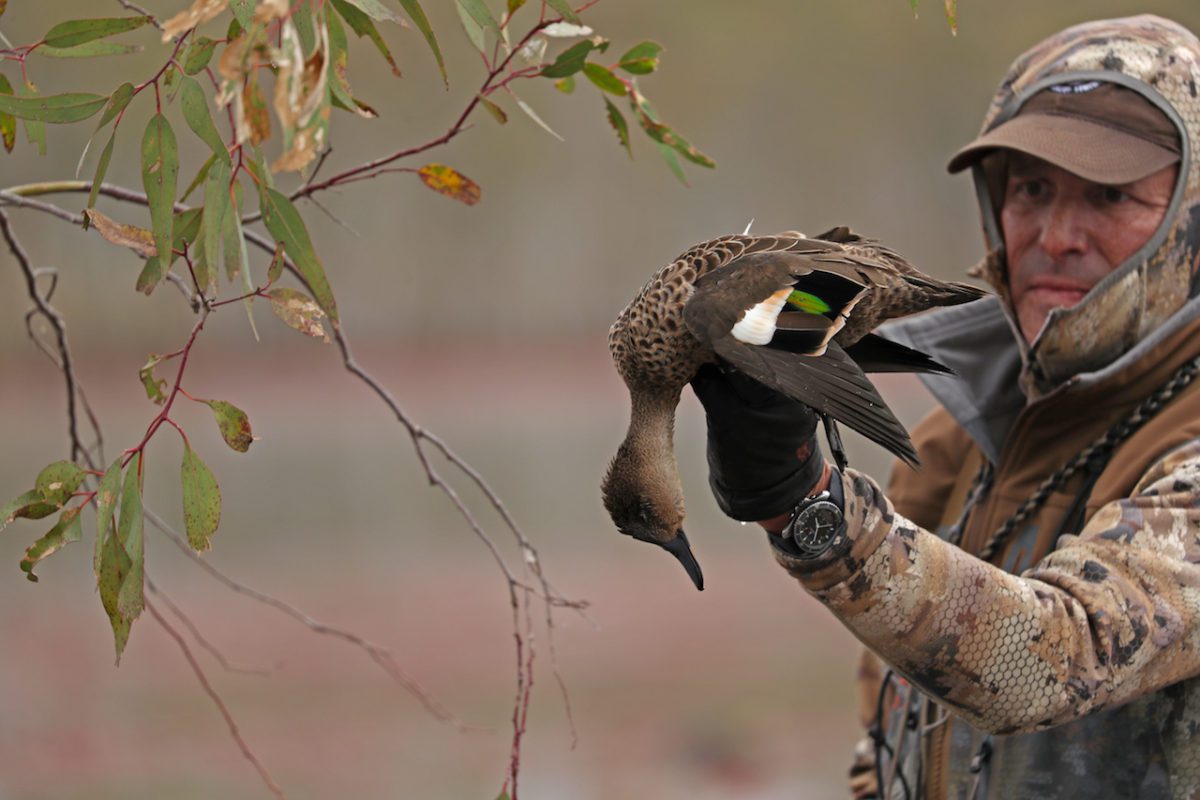 Duck Hunting Australia - Ramsey Russell's GetDucks.com