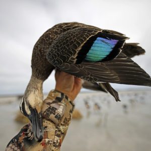 Duck Hunting Australia - Ramsey Russell's GetDucks.com