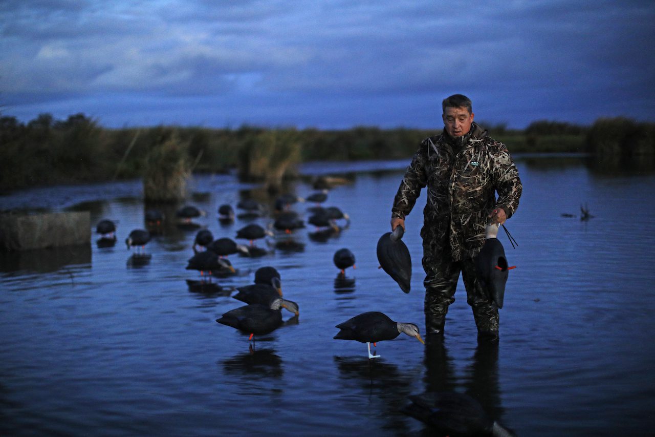 AUSTRALIA DUCK HUNTING 5294 - Ramsey Russell's GetDucks.com