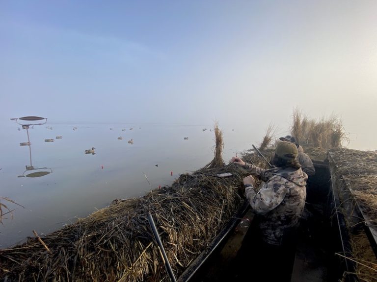 Sac Valley Duck Hunting - California - Ramsey Russell's GetDucks.com