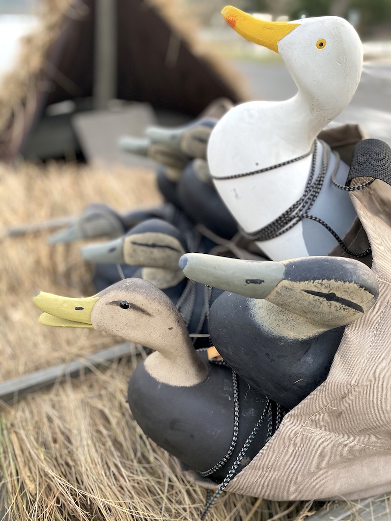 Traditional Barnegat Bay Black Duck Decoy Rig - Ramsey Russell's ...