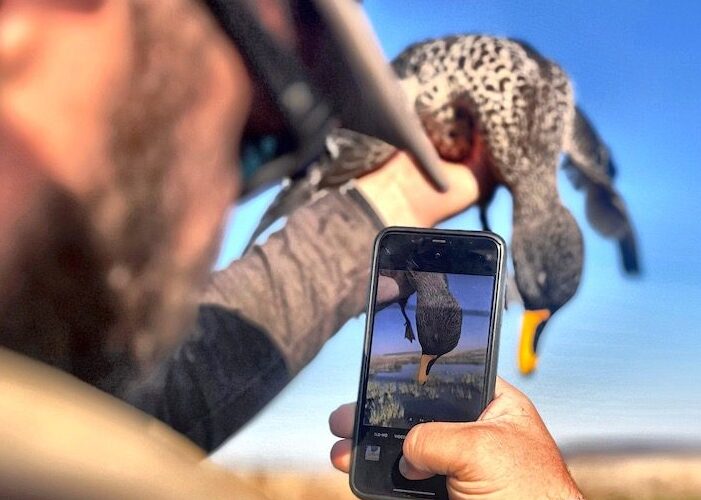 duck hunting in south africa