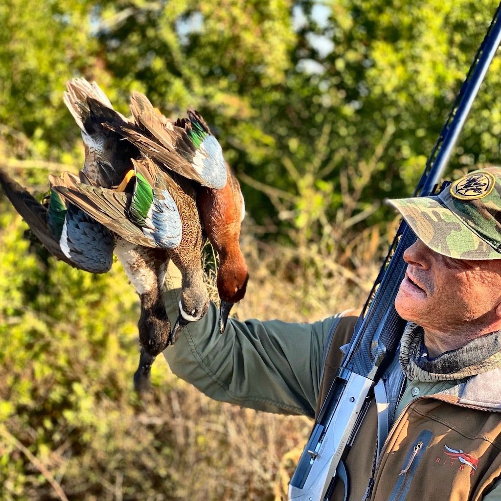 Blue winged trio Mexico Duck Hunt Mazatlan