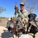 Teal are abundant during Nayarit Mexico duck hunt