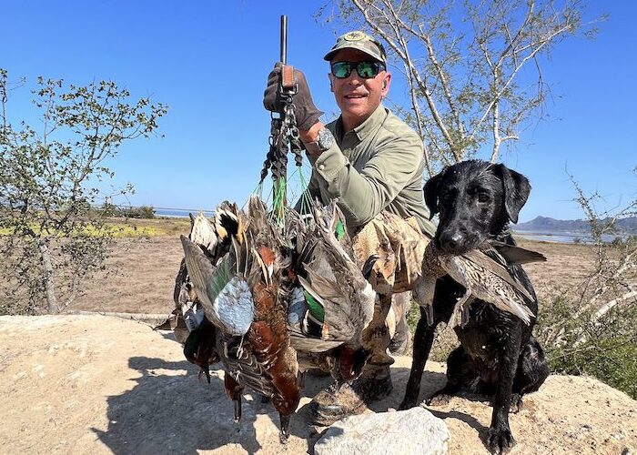 Teal are abundant during Nayarit Mexico duck hunt