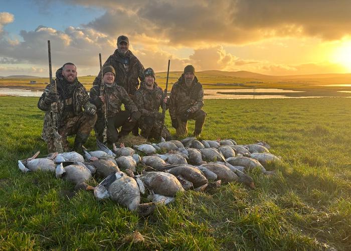 scotland goose hunt