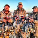 best argentina rosy billed pochard duck hunts